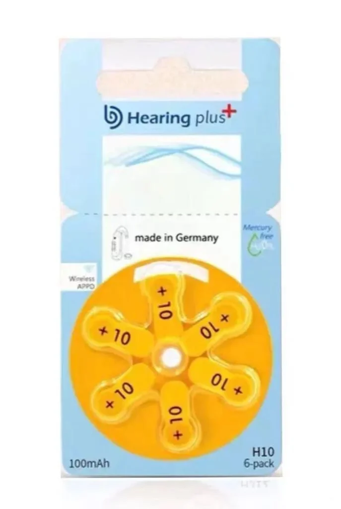 Hearing aid model 10